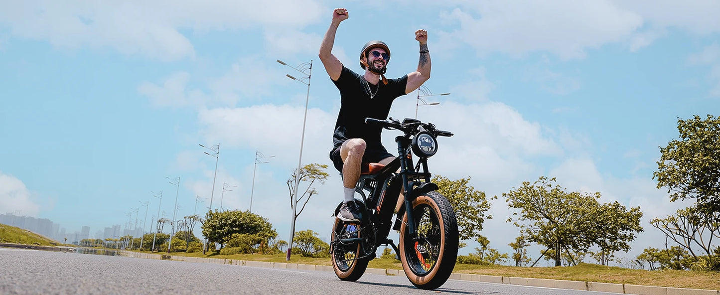 Isinwheel R6 900W Fat Tire Electric Mountain Bike 20 Inch