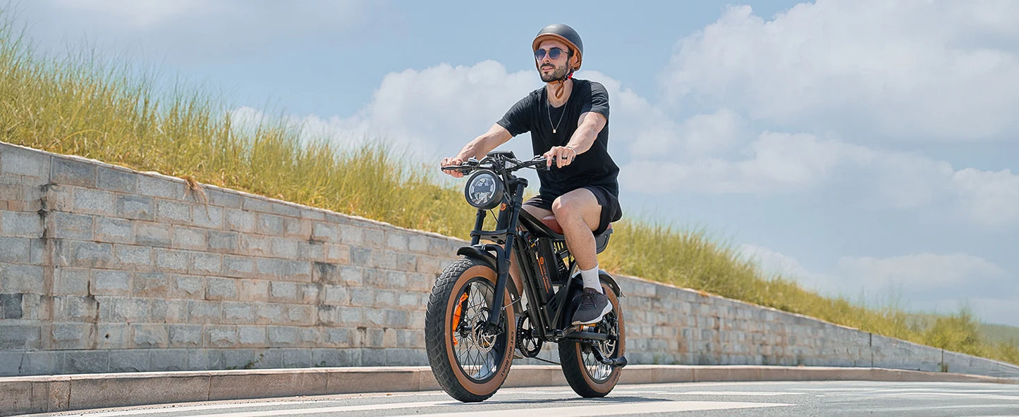 Isinwheel R6 900W Fat Tire Electric Mountain Bike 20 Inch