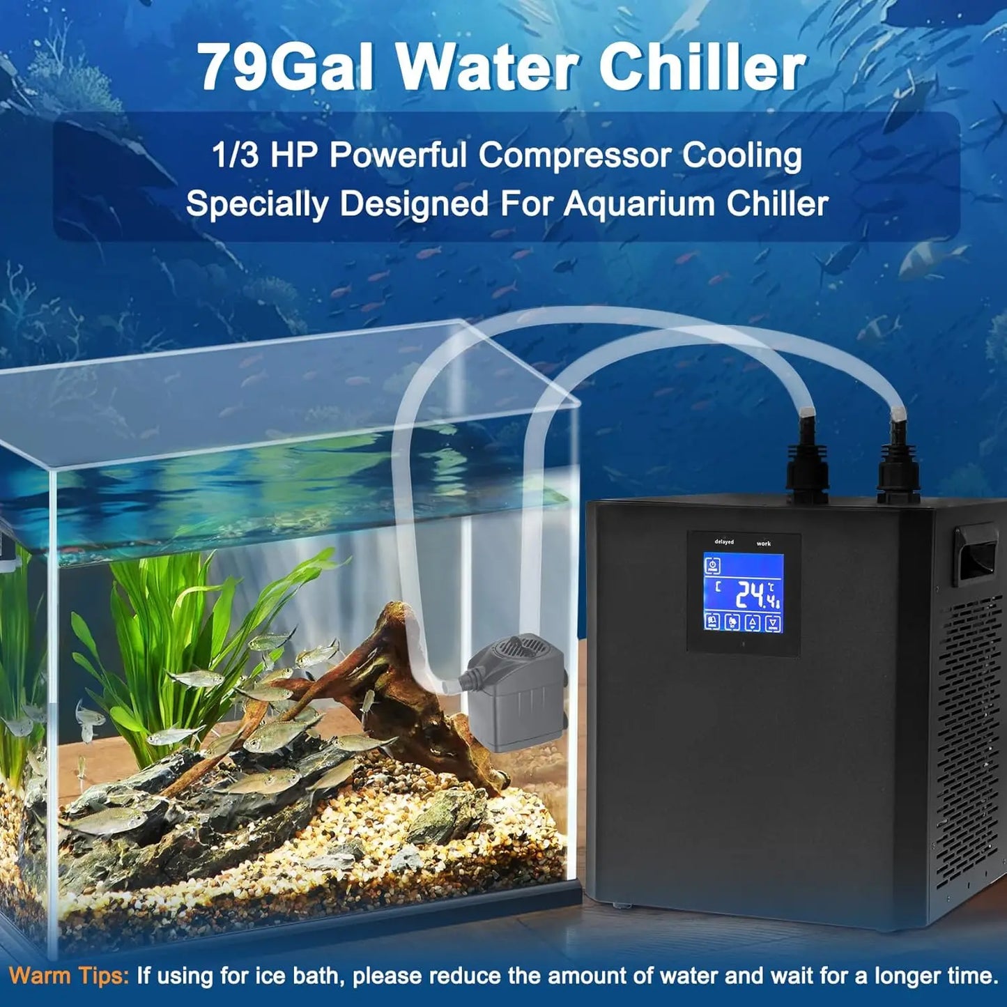 79 Gallon Aquarium Chiller 1/3HP With Remote Pump Axolotl