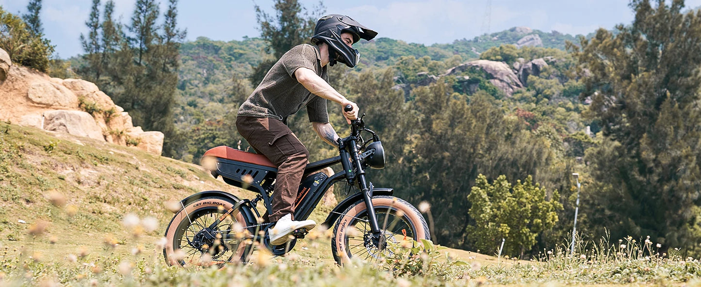 Isinwheel R6 900W Fat Tire Electric Mountain Bike 20 Inch