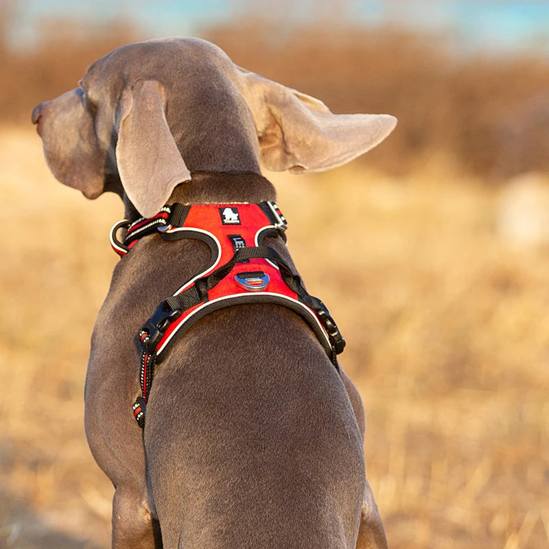 Truelove Reflective Nylon Dog Harness No Pull Adjustable Vest for Medium Large Dogs with Safety Lead for Walking and Running