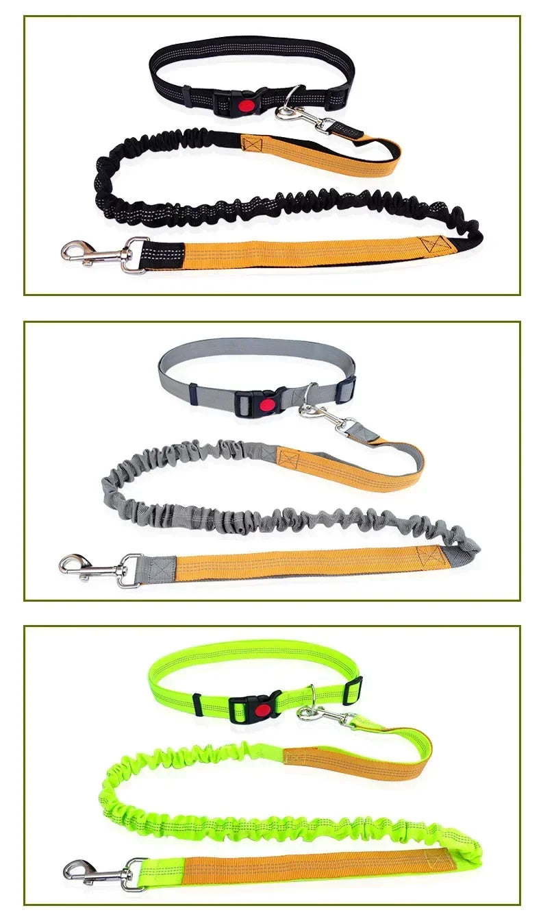 Hands Free Dog Leash For Walking Running Adjustable Belt
