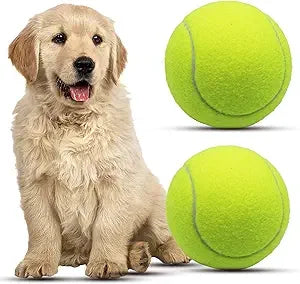Magicorange Large Tennis Balls for Dogs 6 Pack 4 Inch Toy