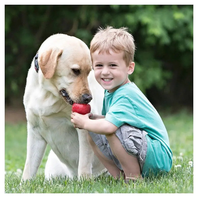 Classic Red Refillable Rubber Dog Toy for Stimulation