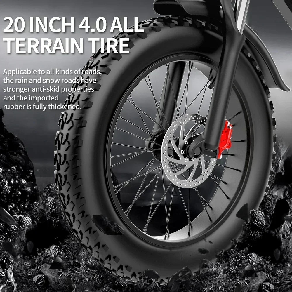 RidstarQ20 2000W Dual Motor Mountain E Bike 52V 40Ah