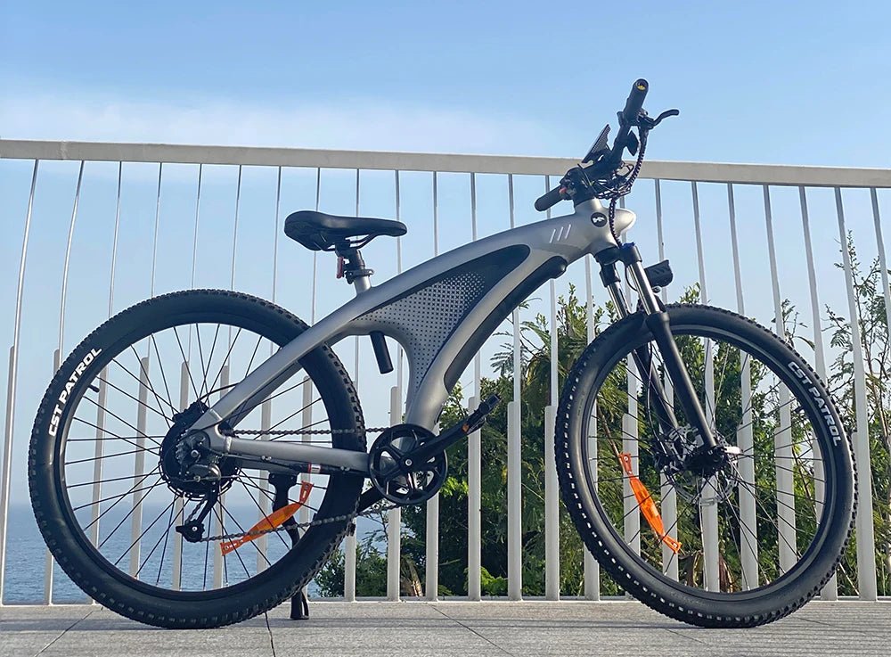 HX Q5 2000W Electric Mountain E Bike 48V 20Ah Off Road