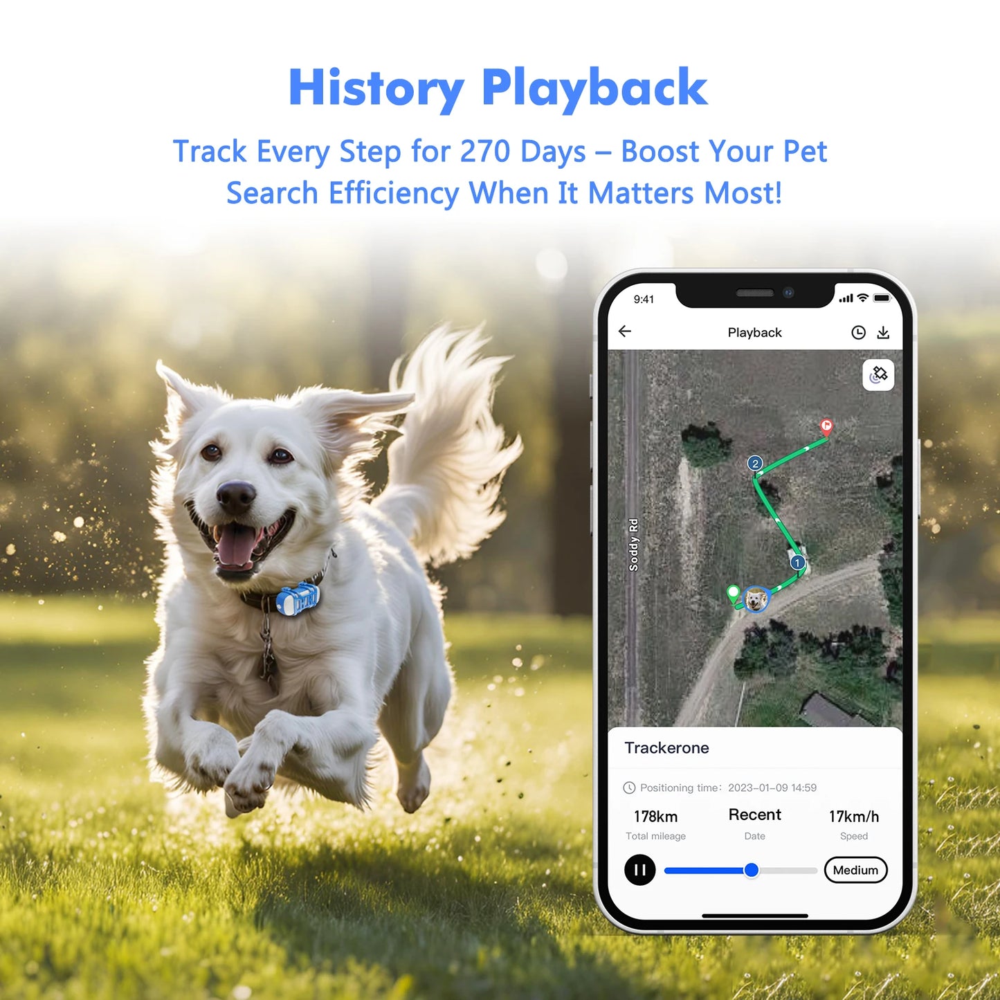 4G Dog Cat GPS Tracker Waterproof Smart Locator with App Live Tracking and Light Sound Search