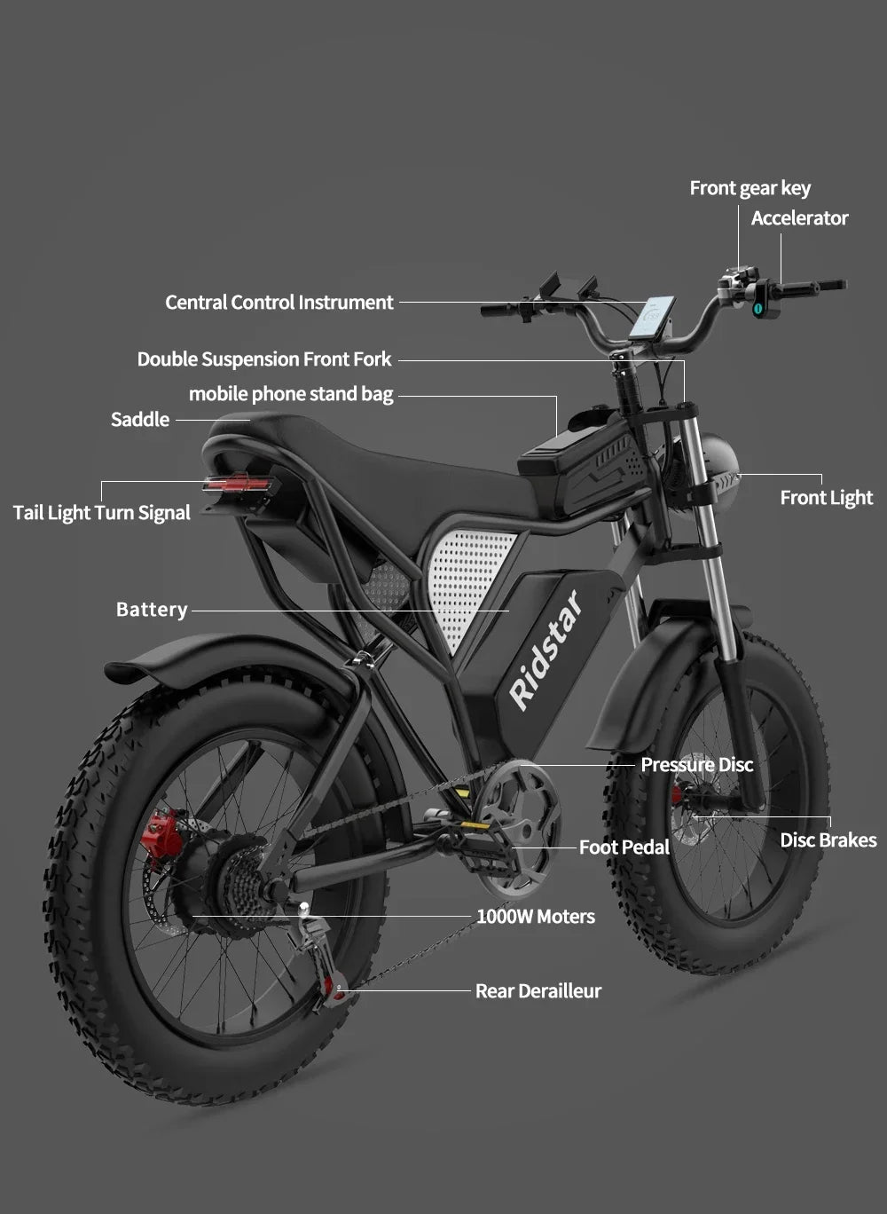 RidstarQ20 2000W Dual Motor Mountain E Bike 52V 40Ah