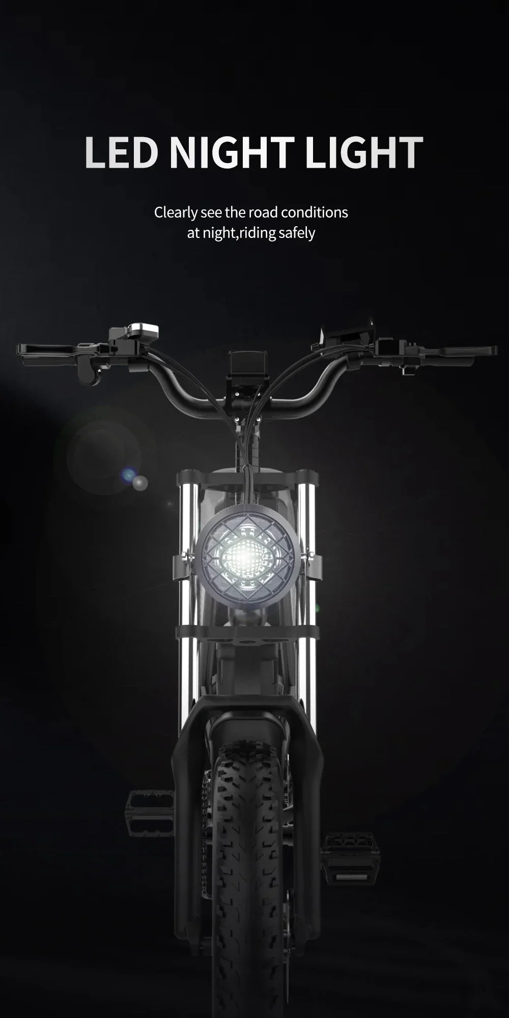 RidstarQ20 2000W Dual Motor Mountain E Bike 52V 40Ah