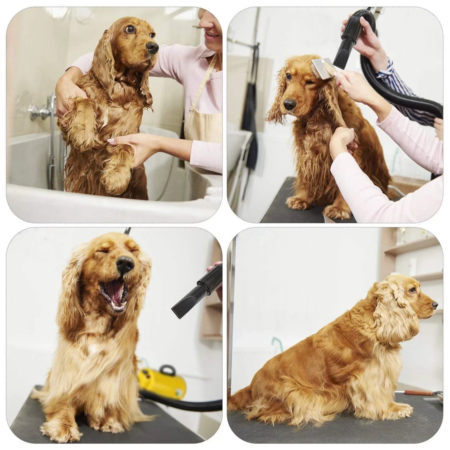 Dog Hair Dryer For Large Dogs Grooming Blower With Heat