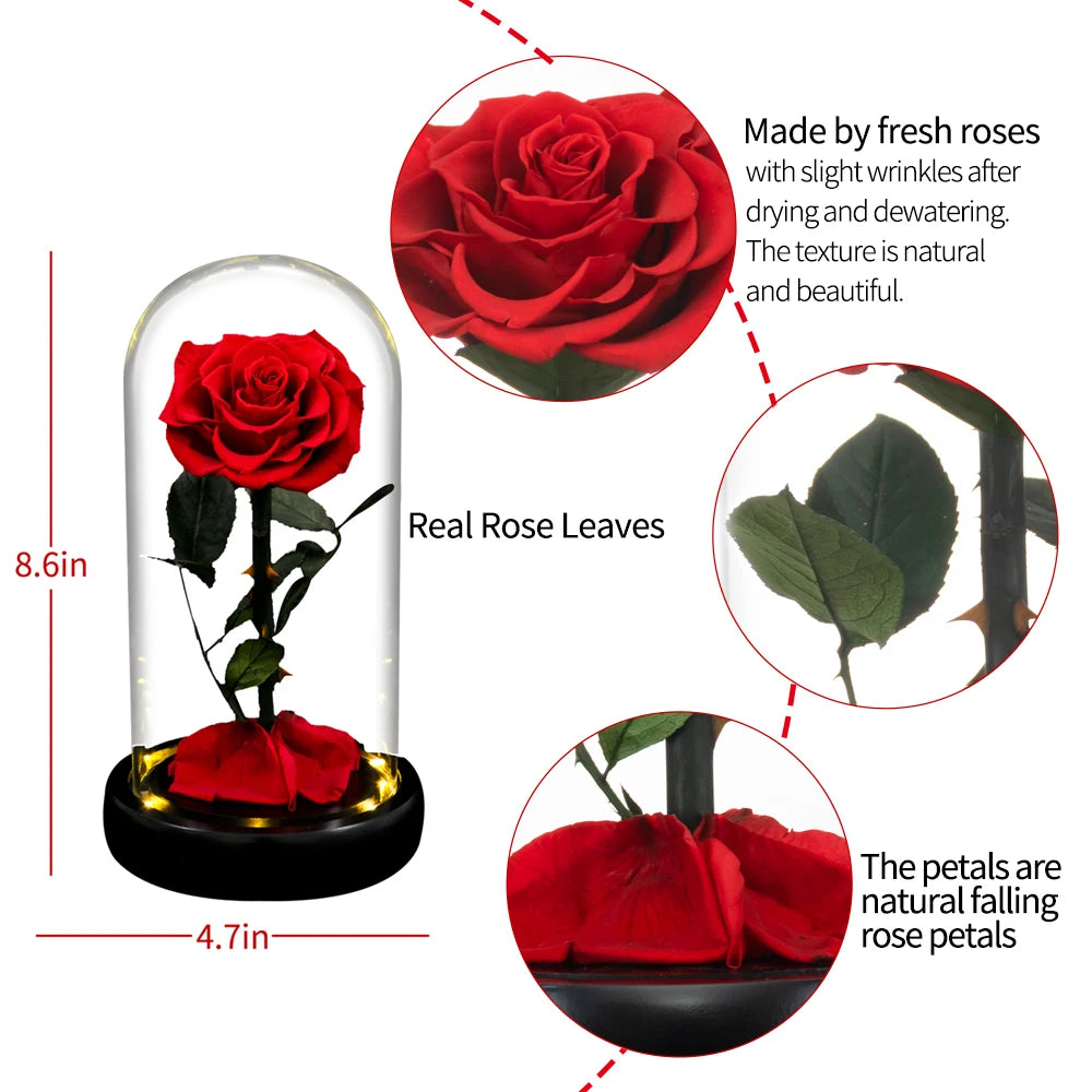 Forever Preserved Rose In Glass LED Light Gift Valentines