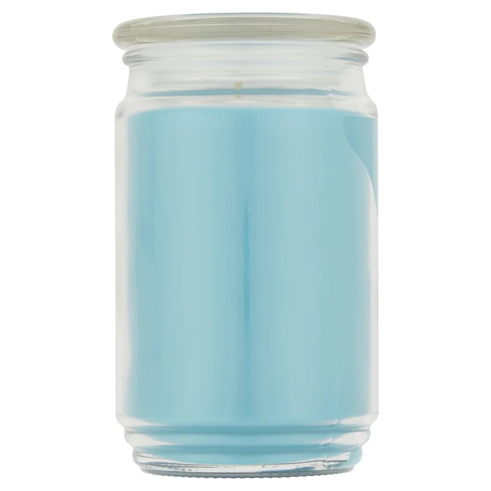 Large Garden Rain Scented Single Wick Candle 20oz Glass Jar