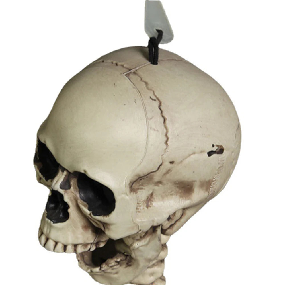 Halloween Horror Skeleton Statue Movable Joints Yard Garden