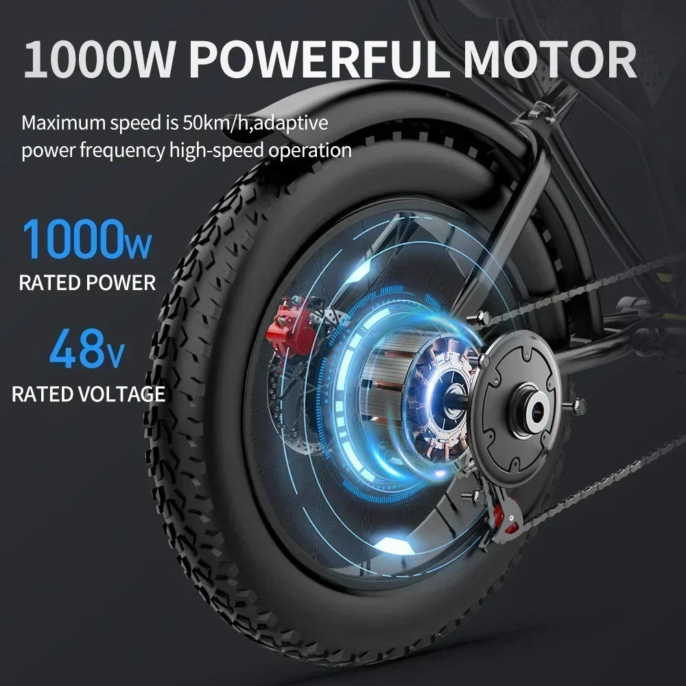 RidstarQ20 2000W Dual Motor Mountain E Bike 52V 40Ah