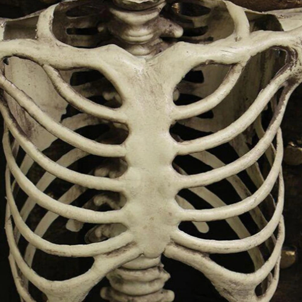 Halloween Horror Skeleton Statue Movable Joints Yard Garden