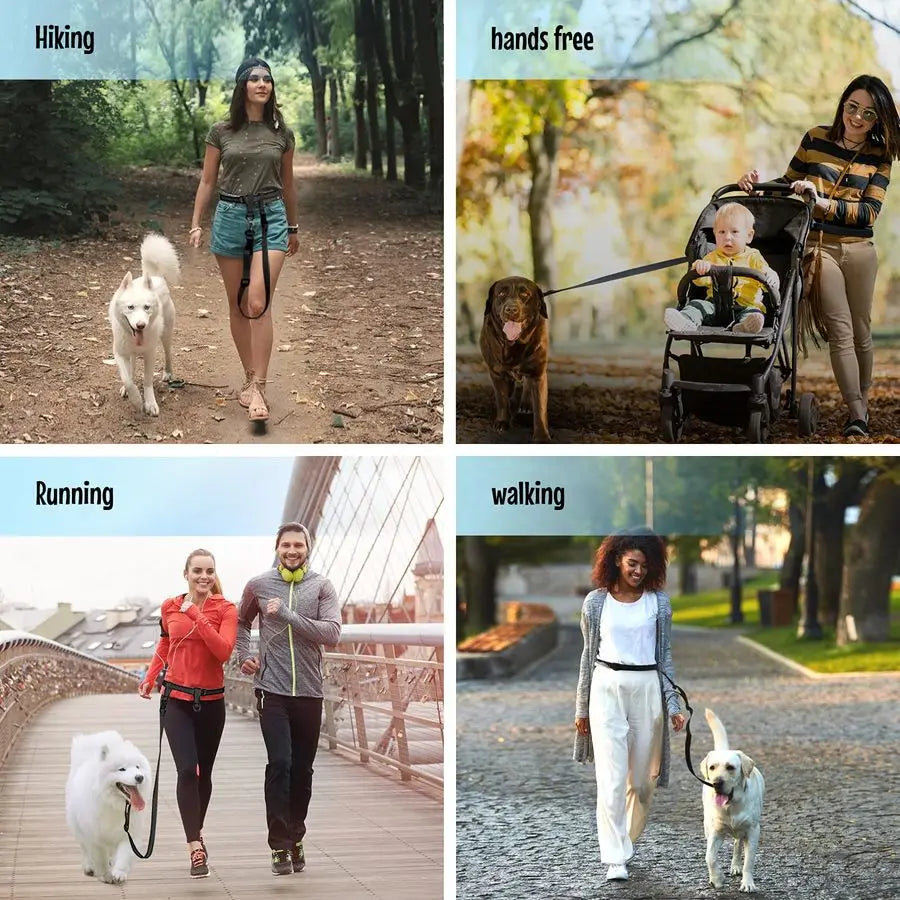 Hands Free Dog Leash Adjustable For Running And Training Made In USA Bundle