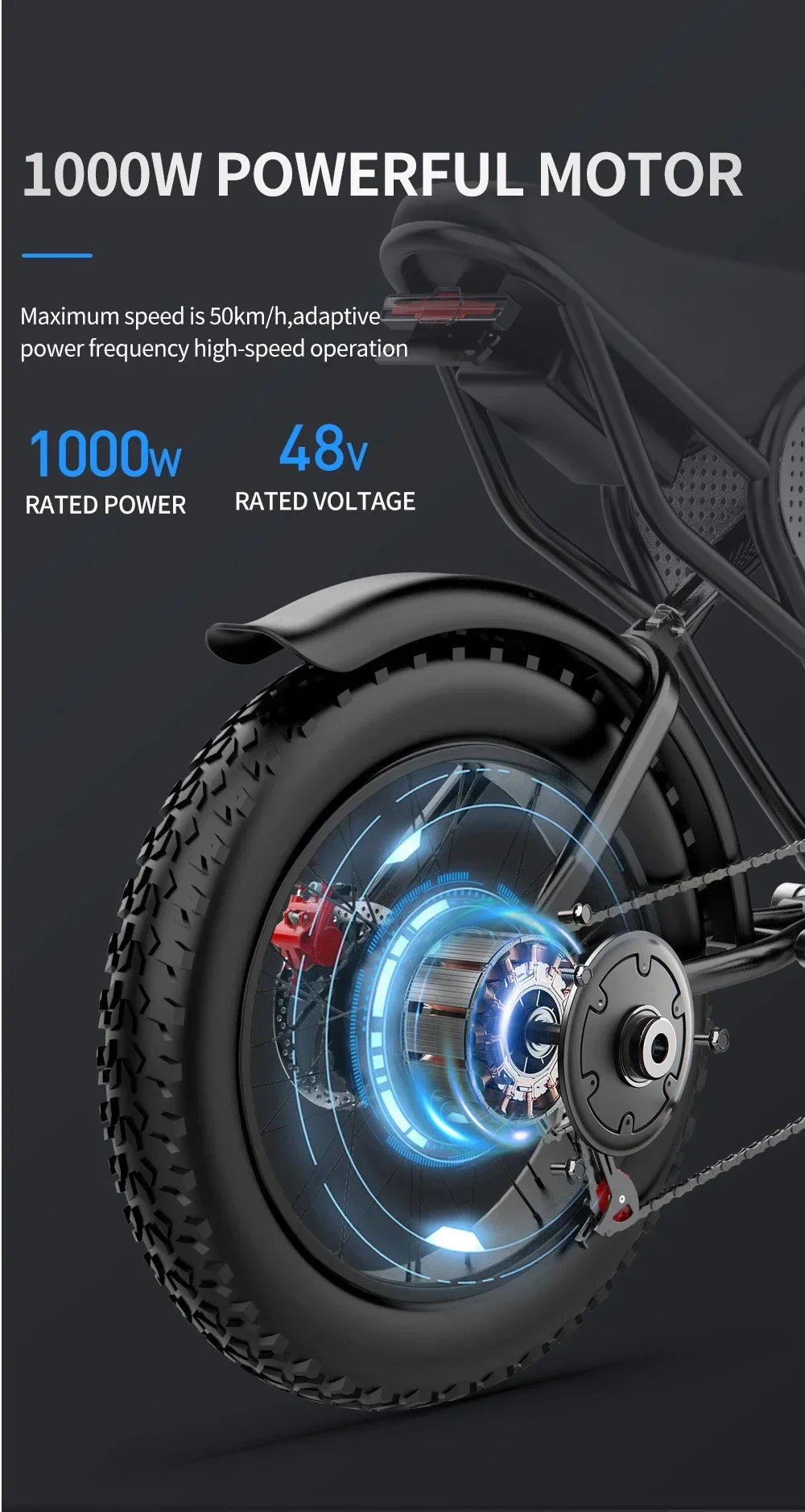 RidstarQ20 2000W Dual Motor Mountain E Bike 52V 40Ah