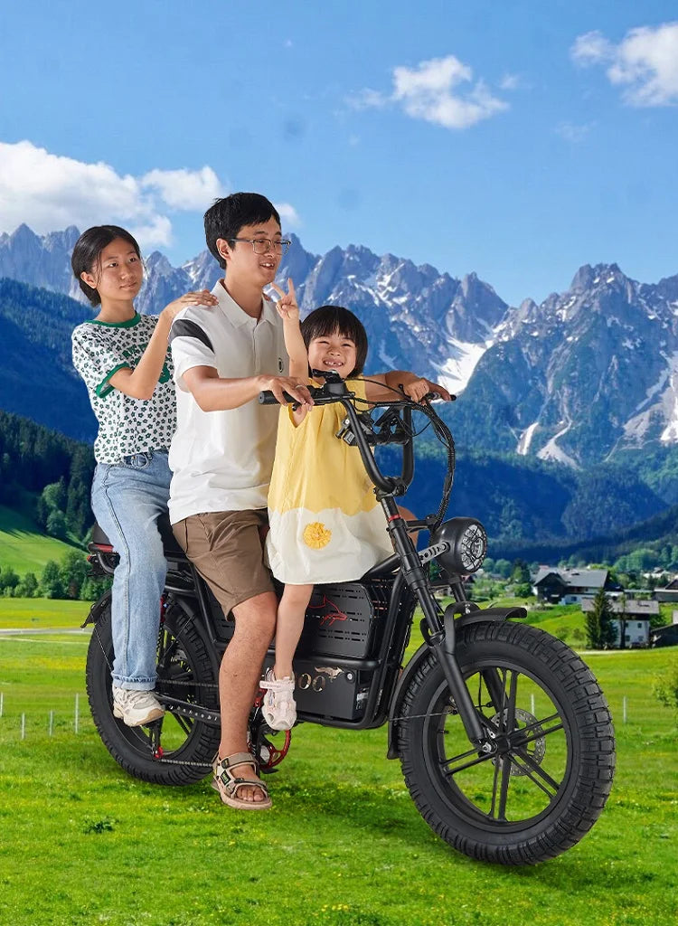 HAHOO H20 20 Inch EBike Mountain Bike 2000W Dual Suspension