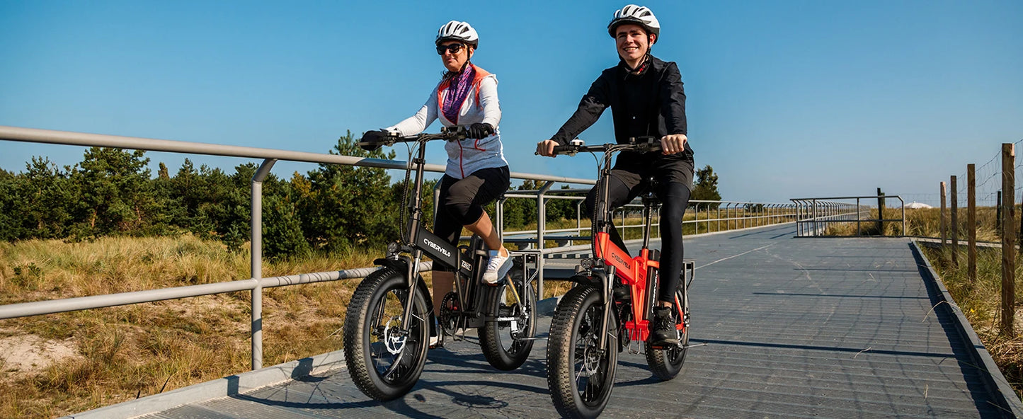 1000W Folding Electric Bike With Removable 48V 20Ah Battery