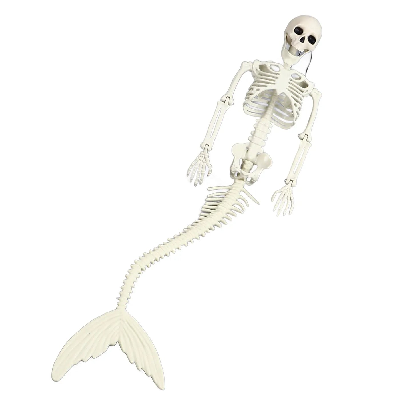 Skeleton Mermaid 80cm Length Plastic Life Size Full Body Skeleton Mermaid with Movable Joints Halloween Outdoor Decor