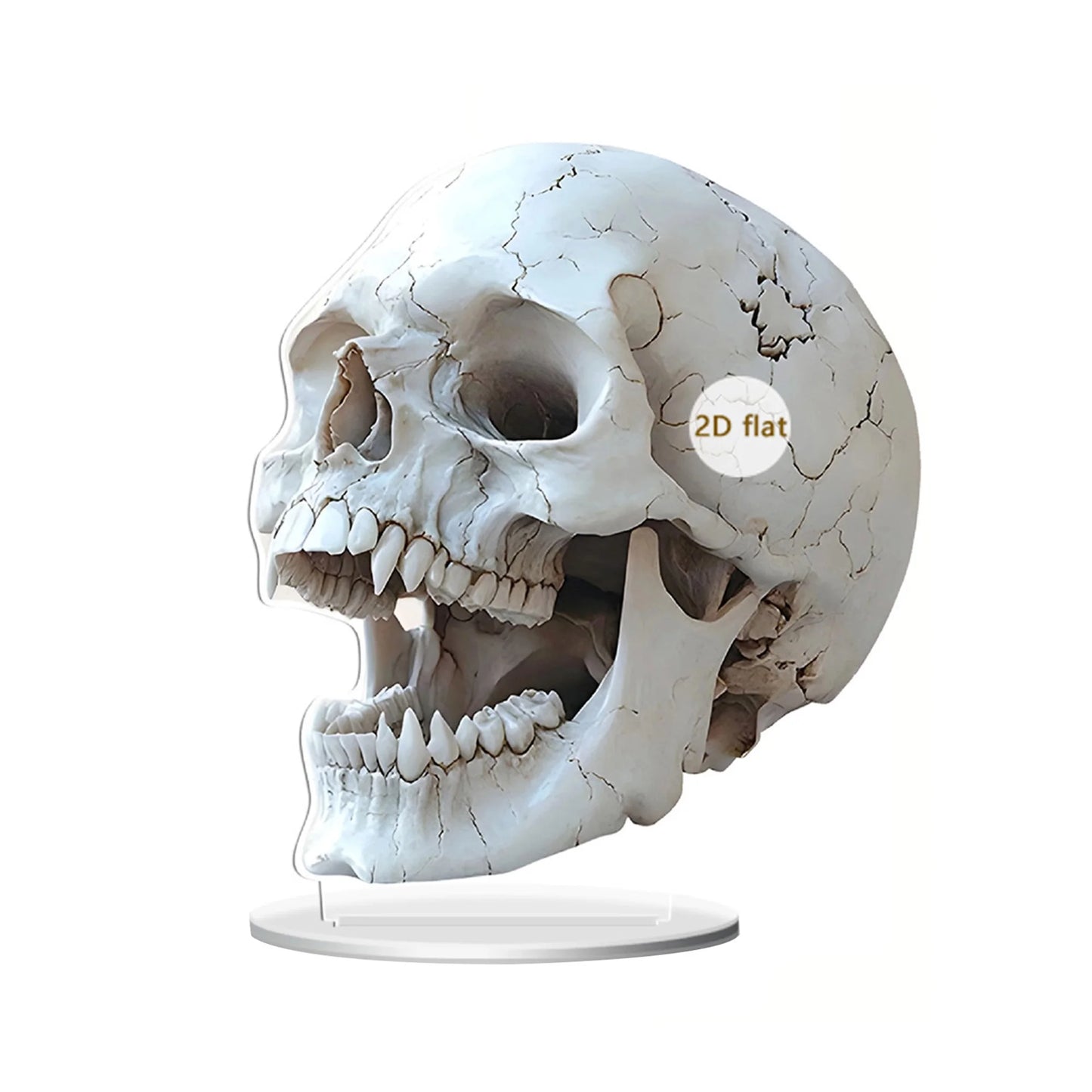 Spooky Halloween Skull Decorations Set of 3 2D Flat Acrylic Skeleton Head Ornaments for Home Holiday Party Tabletop Display