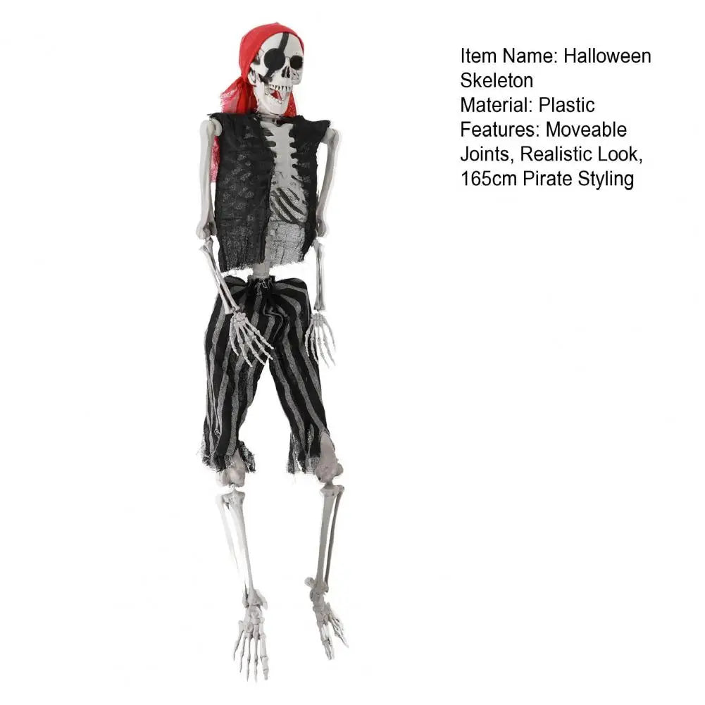 Life Size Plastic Skeleton With Posable Joints Halloween