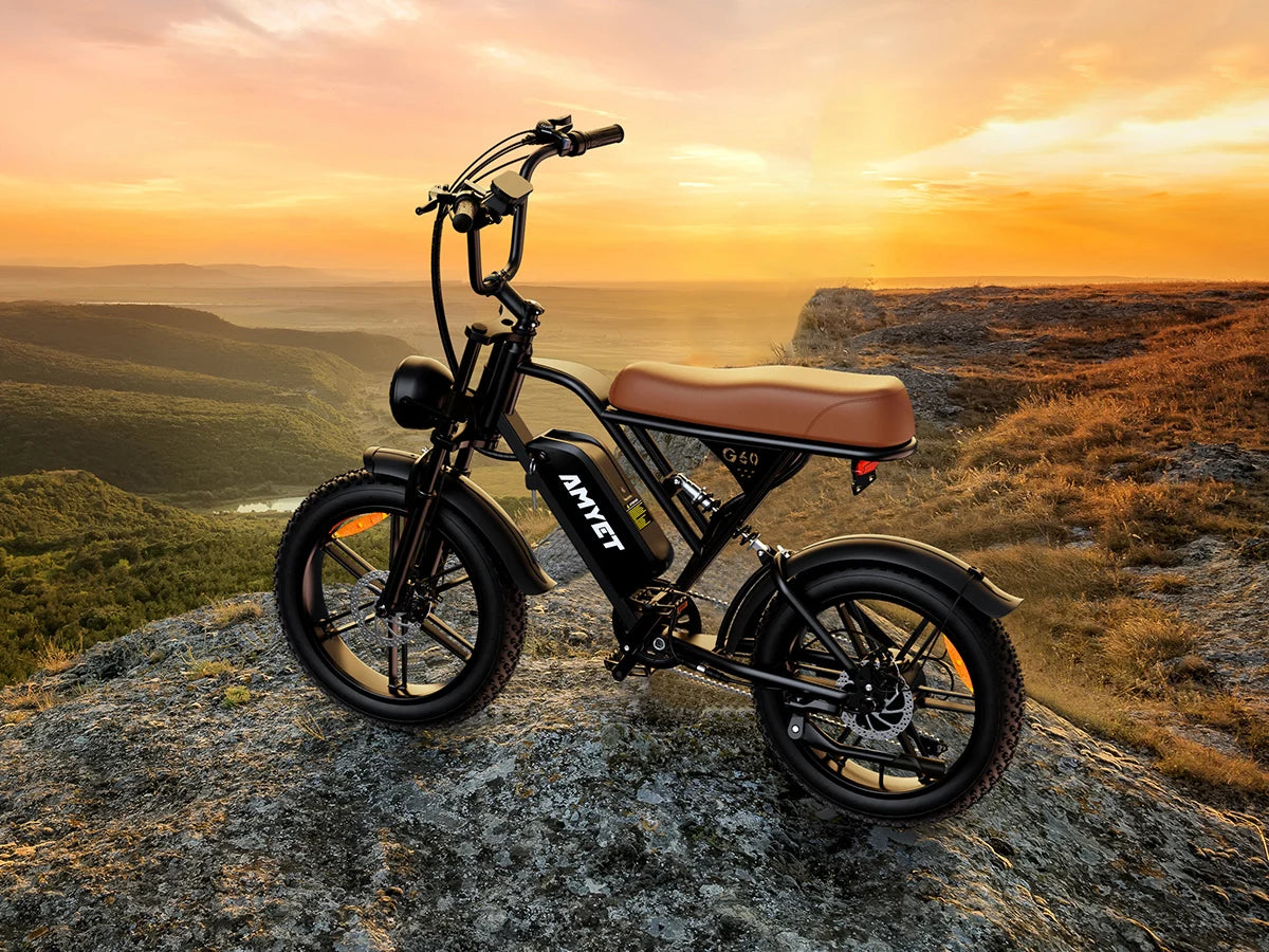 Amyet V9 G60 1000W Adults Electric Mountain Ebike 48V 20Ah