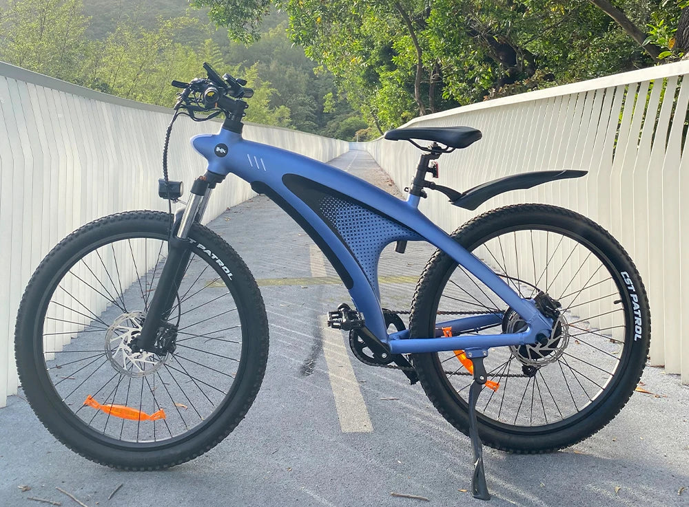 HX Q5 2000W Electric Mountain E Bike 48V 20Ah Off Road