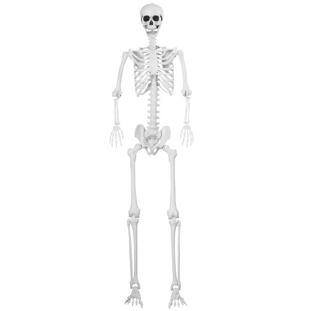 7.8ft Giant Skeleton Life Size Realistic For Lawn Decor