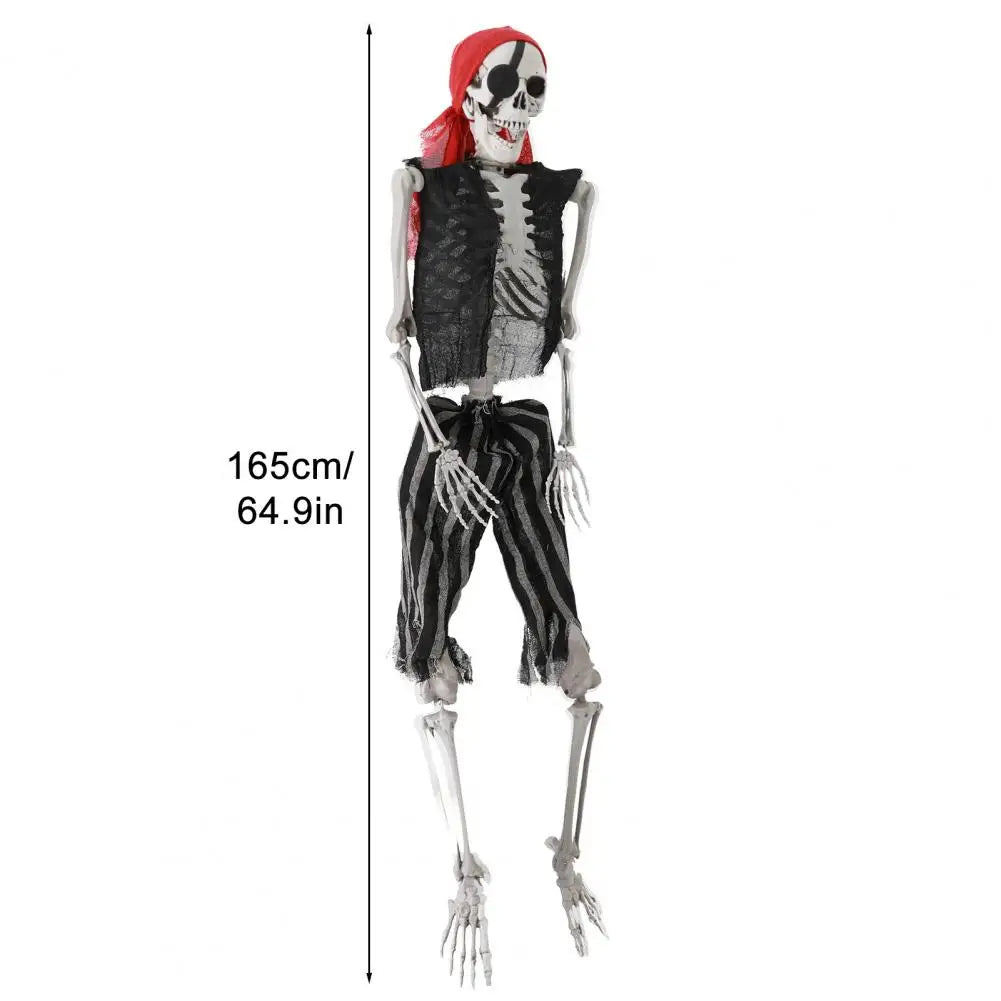 Life Size Plastic Skeleton With Posable Joints Halloween