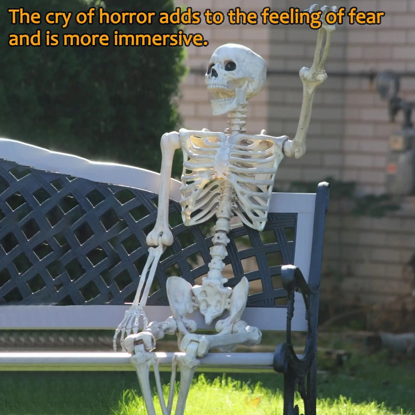 Realistic 165cm Halloween Skeleton Decoration with Movable Joints and Sound Effect for Home Ornament and Photo Display