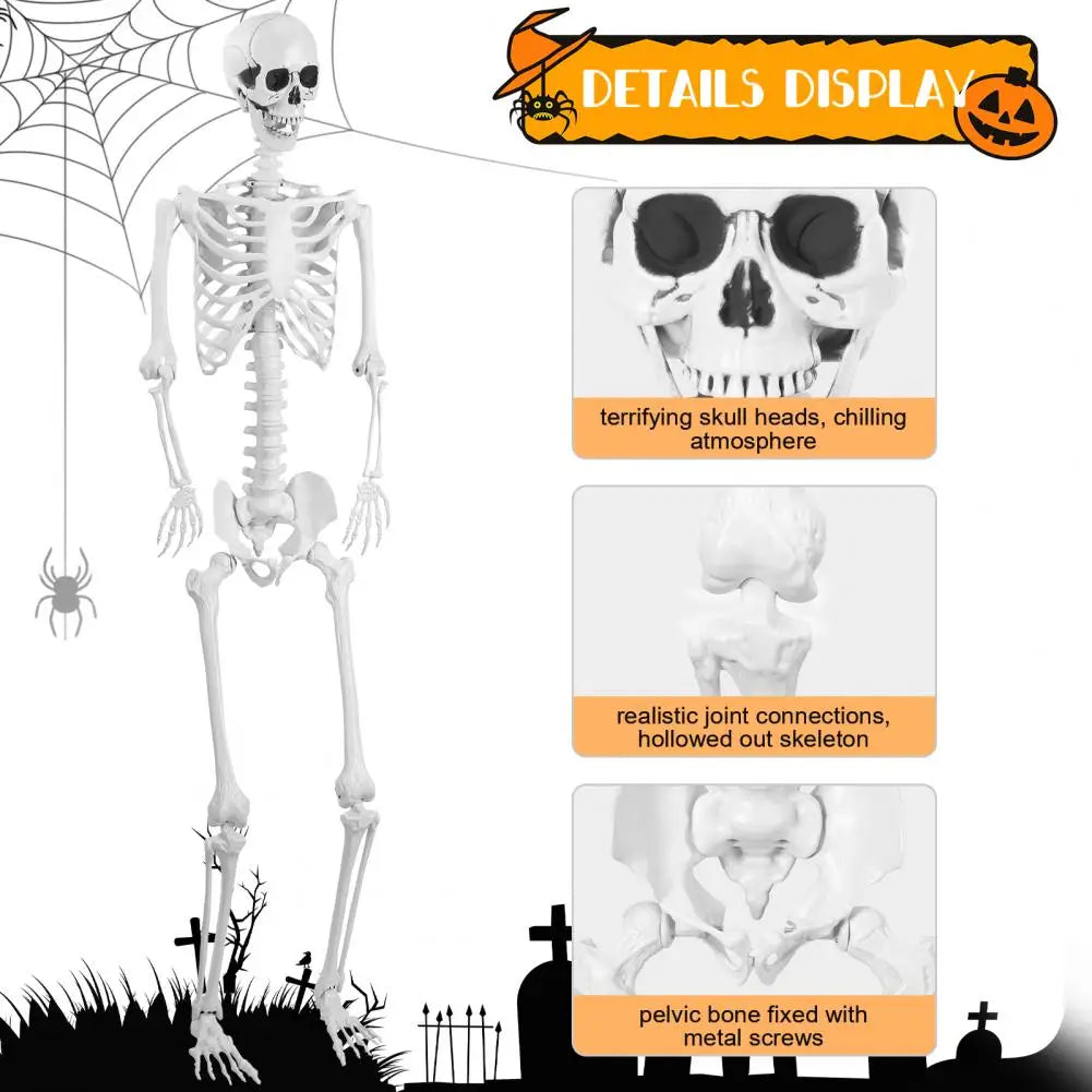 7.8ft Giant Skeleton Life Size Realistic For Lawn Decor