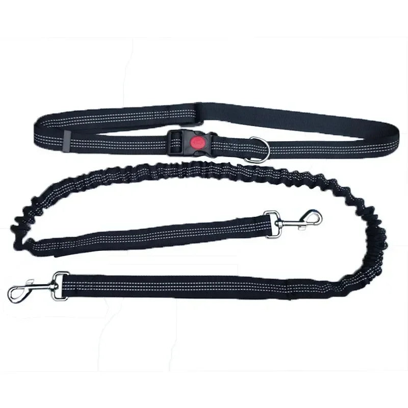 Hands Free Dog Leash For Walking Running Adjustable Belt