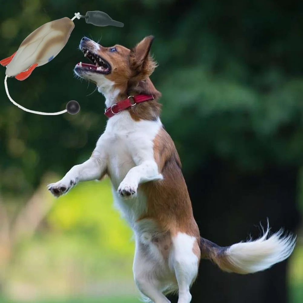 Duck Bumper Toy For Hunting Dogs Mallard Bird Dummy Waterfowl Retrieval Training
