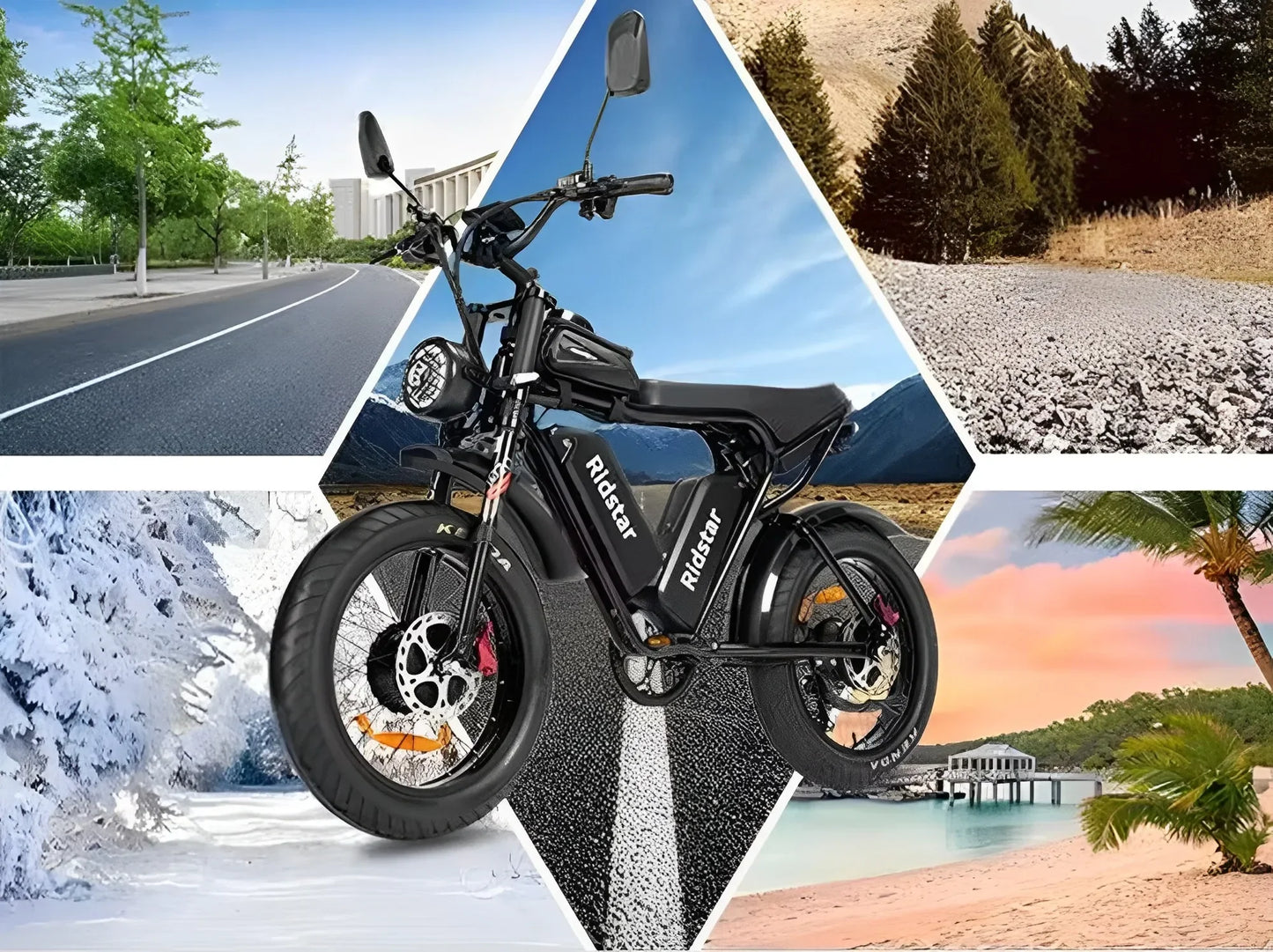 RidstarQ20 2000W Dual Motor Mountain E Bike 52V 40Ah