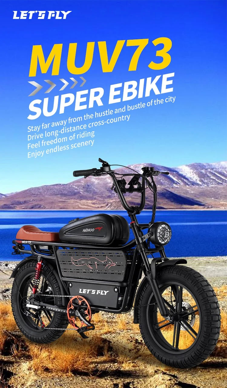 HAHOO H20 20 Inch EBike Mountain Bike 2000W Dual Suspension