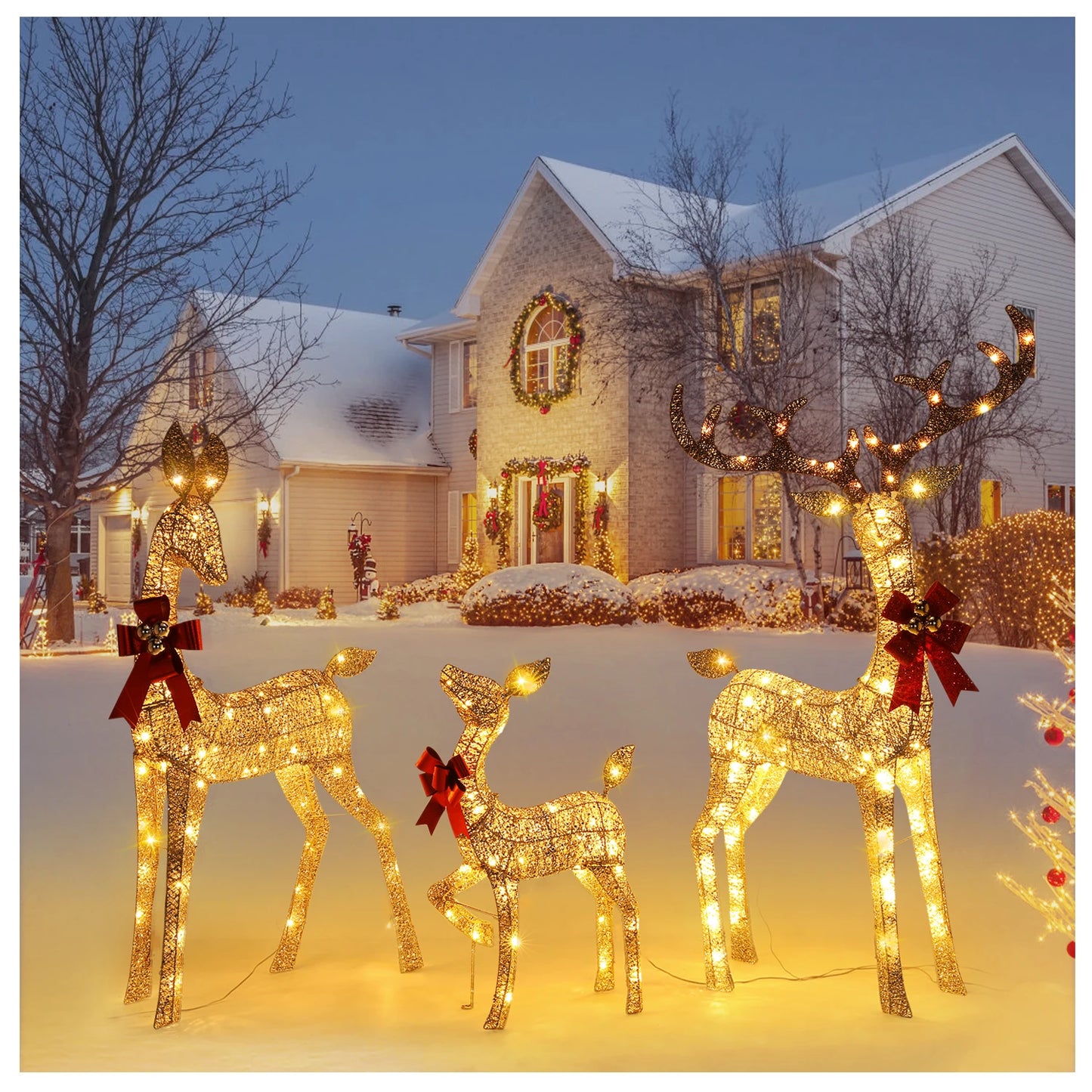 Indoor Outdoor Christmas Deer Family Set With LED Lights