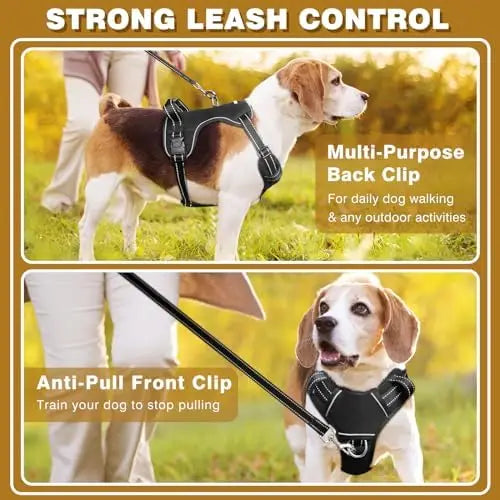 Winsee Adjustable Dog Harness With Reflective Vest And Leash Clips For All Sizes