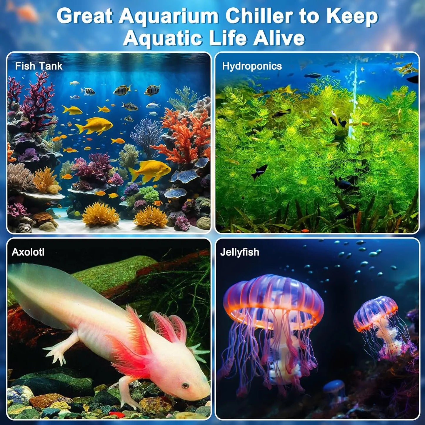79 Gallon Aquarium Chiller 1/3HP With Remote Pump Axolotl