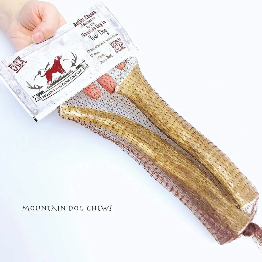 Medium Elk Antler Dog Chew 2 Pack Premium Organic USA Made