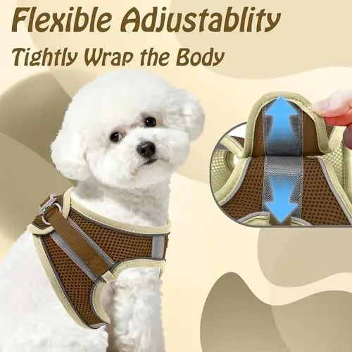Adjustable Dog Harness And Leash Set Padded Vest Easy Fit For Small Pets