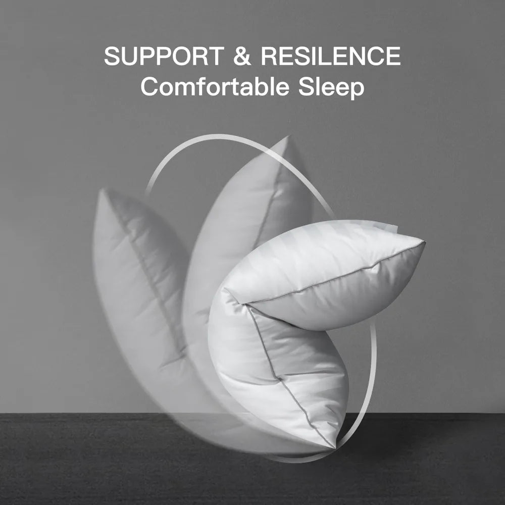 White Queen Size Pillow Set 2 Pack Polyester Fill Machine Washable