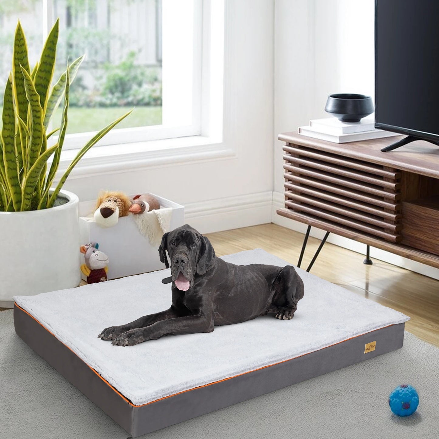 Large Orthopedic Dog Bed With Removable Washable Cover Padded Foam Cushion