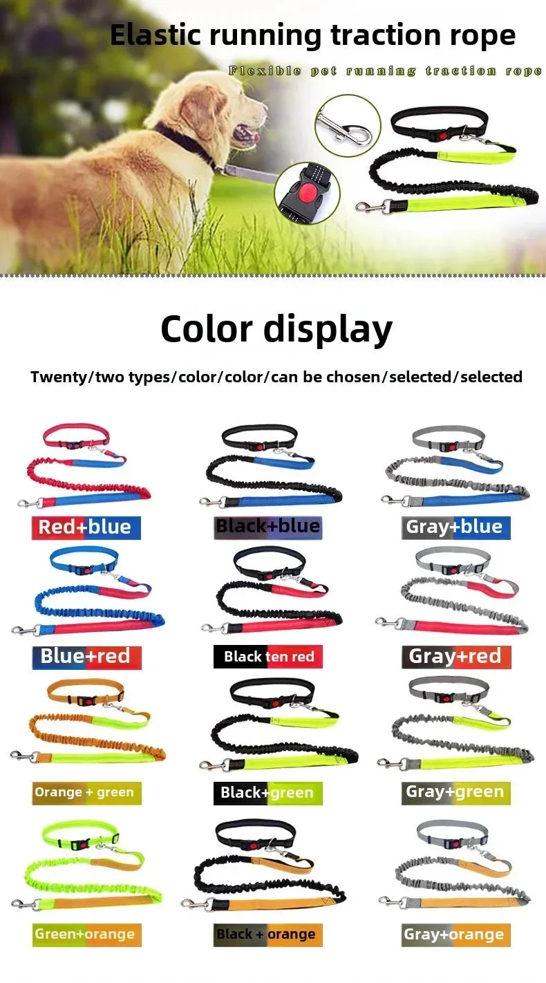Hands Free Dog Leash For Walking Running Adjustable Belt
