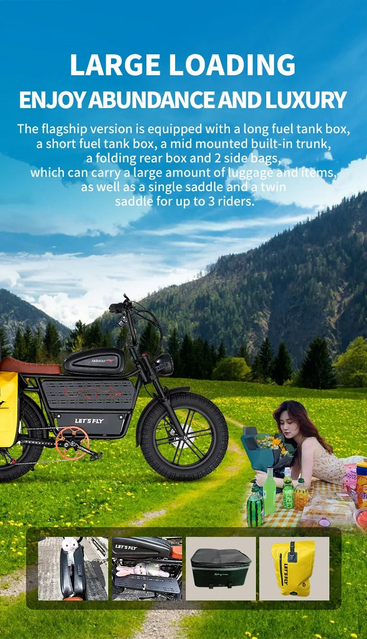 HAHOO H20 20 Inch EBike Mountain Bike 2000W Dual Suspension