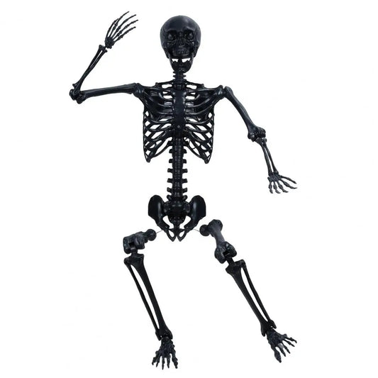 Flexible Jointed 170cm Skeleton for Halloween Parties