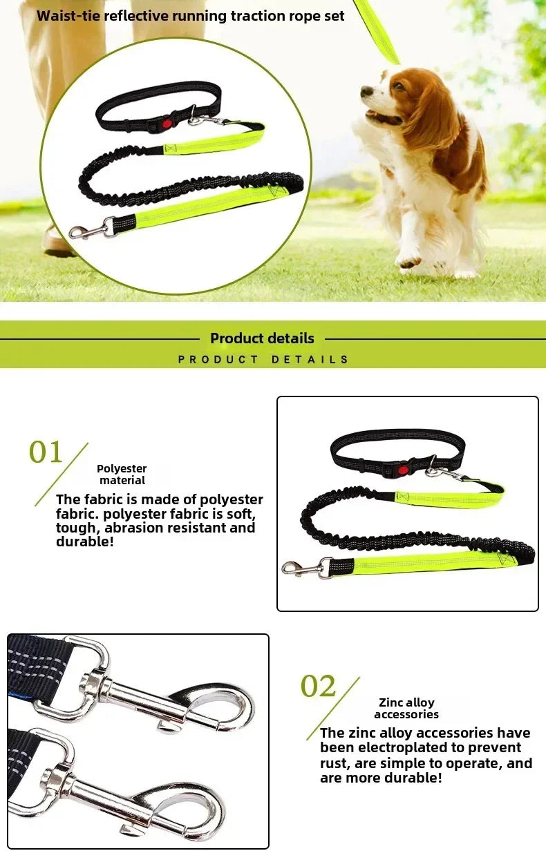 Hands Free Dog Leash For Walking Running Adjustable Belt