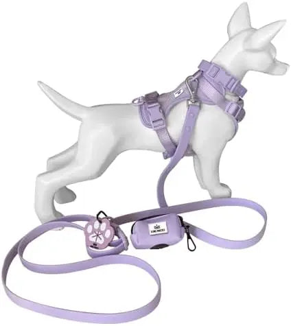 YTYIN Adjustable Dog Harness Set With Collar Leash Waste Bag Holder Lightweight