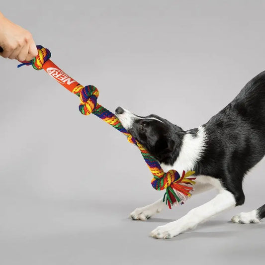 24 Inch T Shirt Rope Dog Toy Four Knots Tug of War Bright