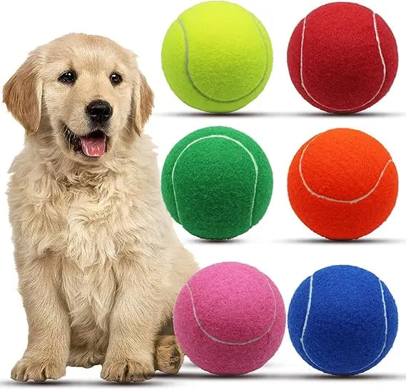 Magicorange Large Tennis Balls for Dogs 6 Pack 4 Inch Toy